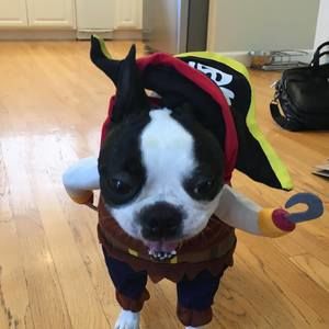 Meet your Posher, Cece